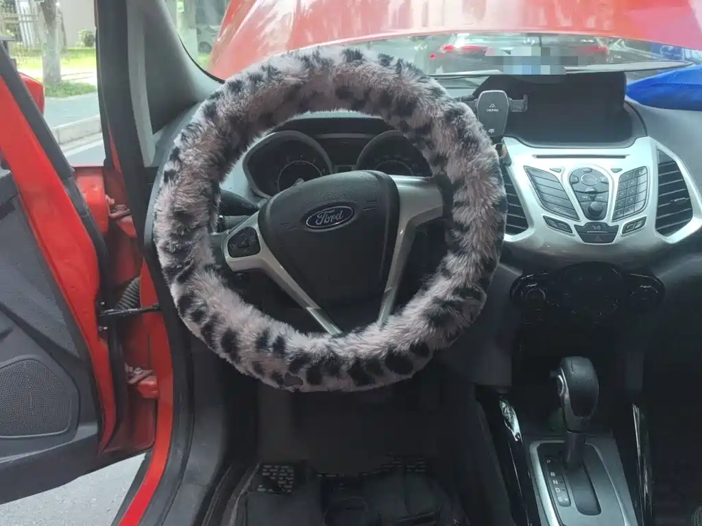 Ford EcoSport 2015 — фото 11