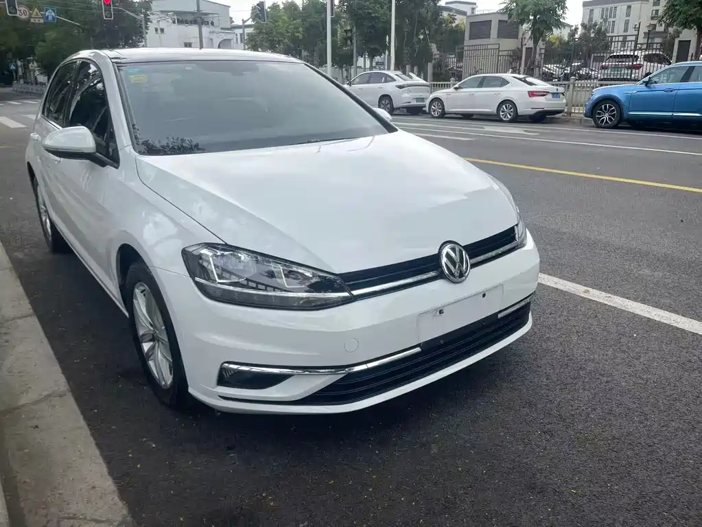 Volkswagen Golf 2019 — фото 11