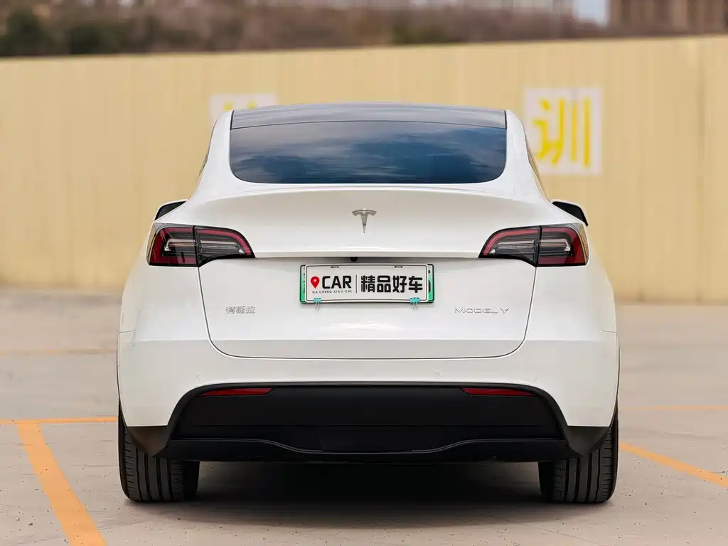 Tesla Model Y 2023 — фото 8
