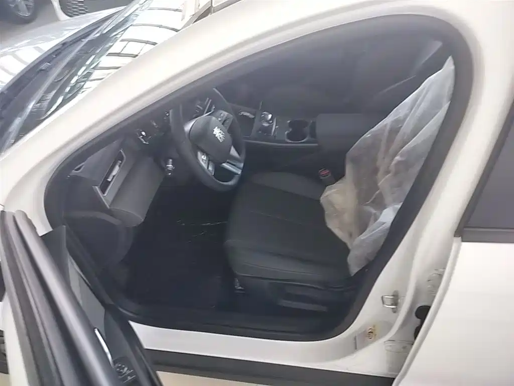 BYD Qin PLUS 2025 — фото 16