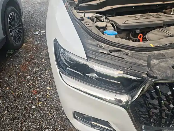 Haval H6 2024