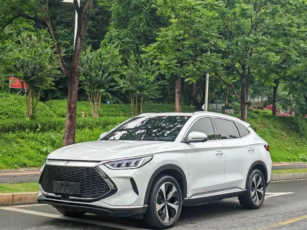 BYD PLUS New Energy 2022 — фото 1