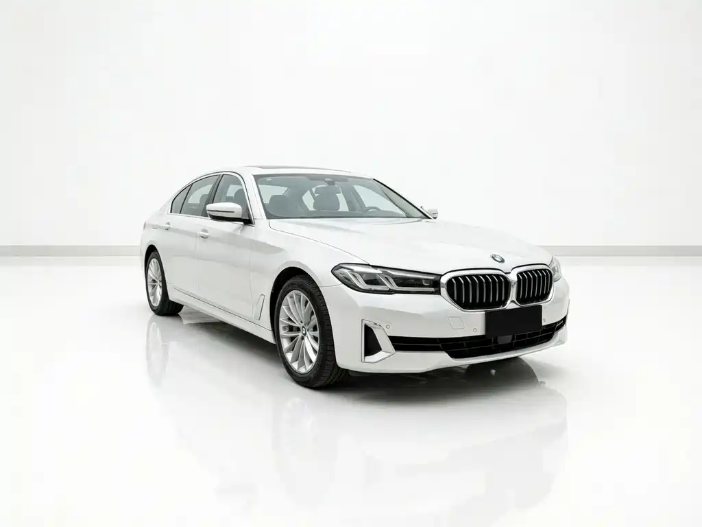 BMW 5 Series New Energy 2021 — фото 3