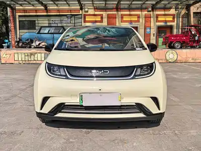 BYD Dolphin 2024