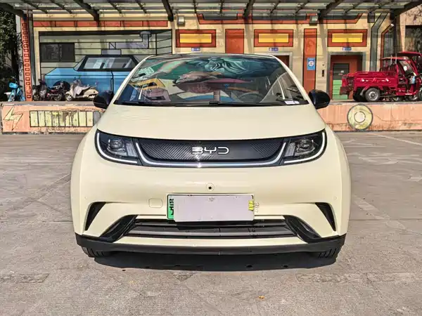 BYD Dolphin 2024