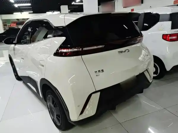 BYD Seagull 2024