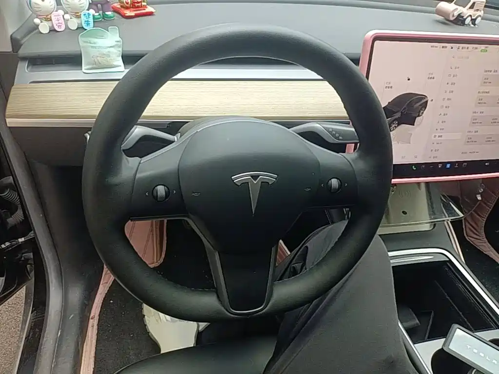 Tesla Model Y 2023 — фото 11