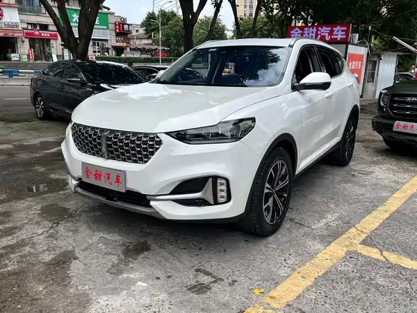 Wey VV6 2021