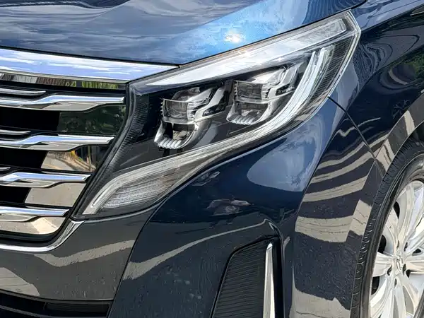 GAC Trumpchi M8 2020