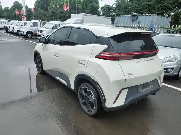 BYD Seagull 2024