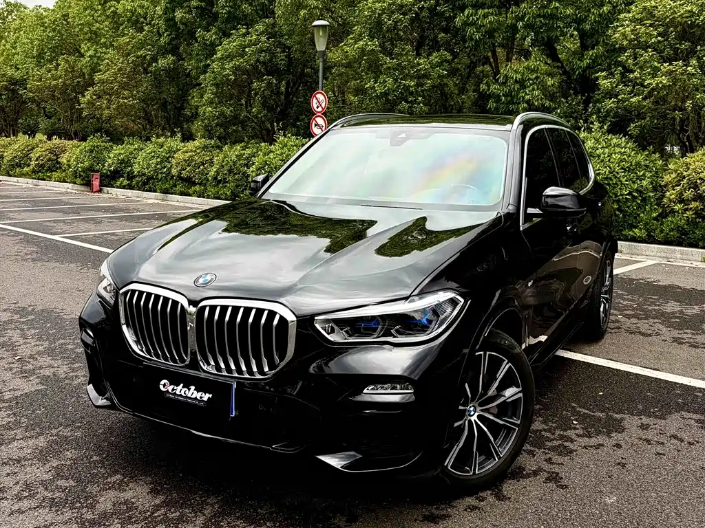 BMW X5 2019