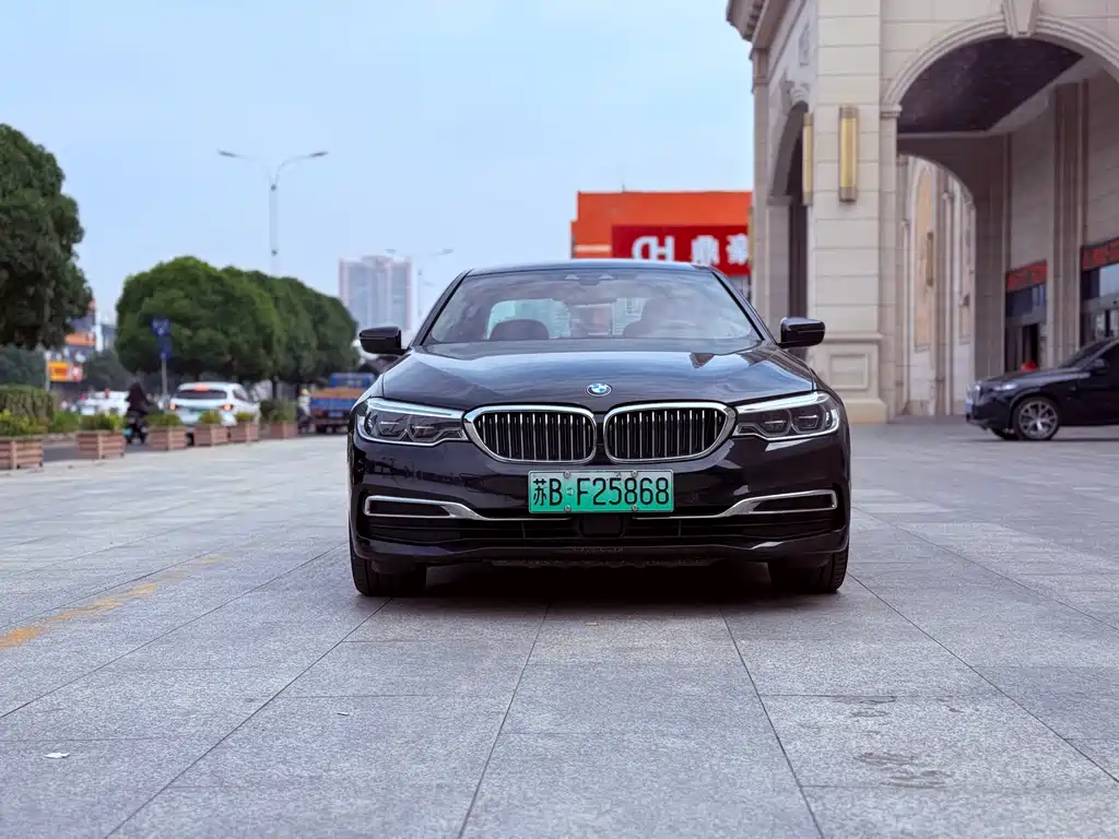 BMW 5 Series New Energy 2019