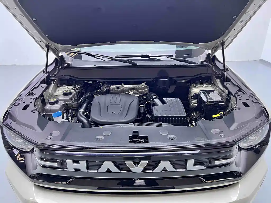 Haval Dargo PLUS EV 2025 — фото 18