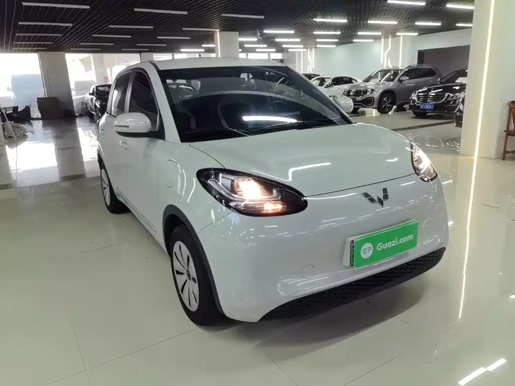 Wuling Bingo 2024