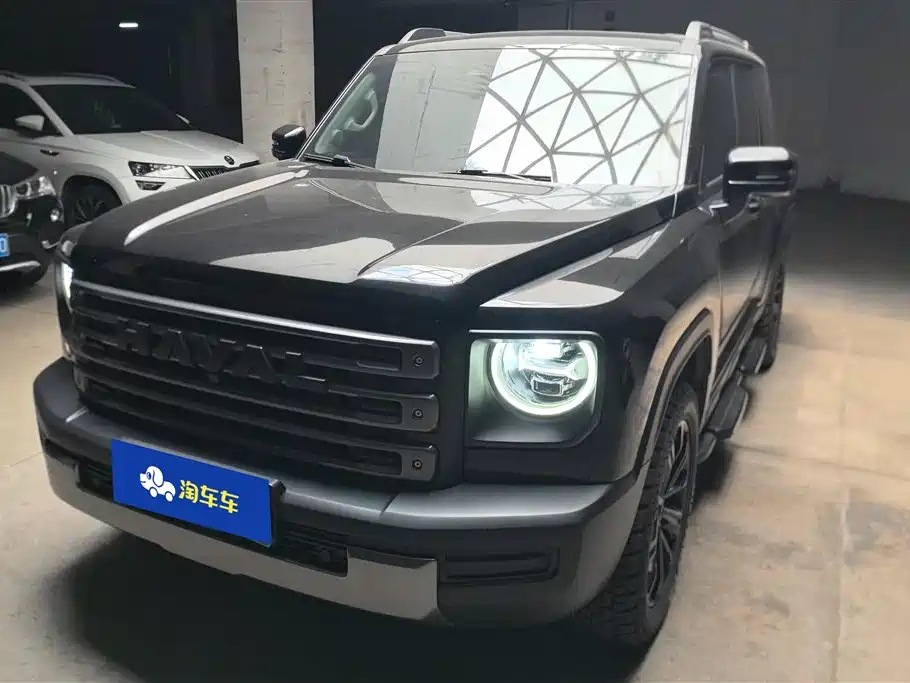 Haval Menglong New Energy 2024