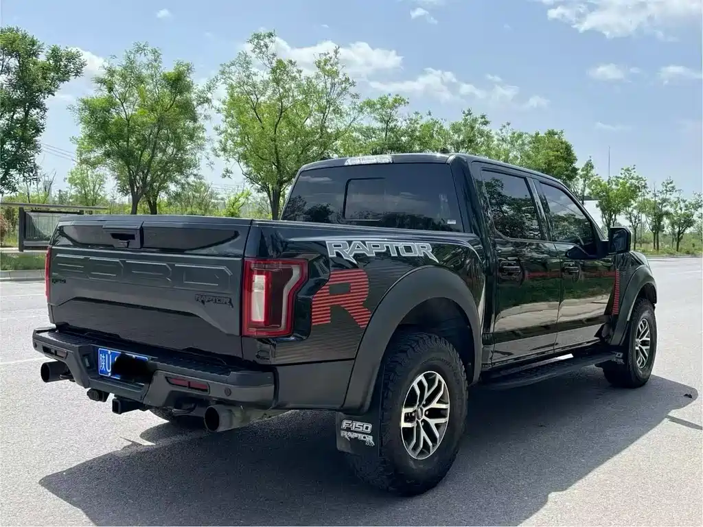 Ford F-150 Raptor 2019 — фото 9