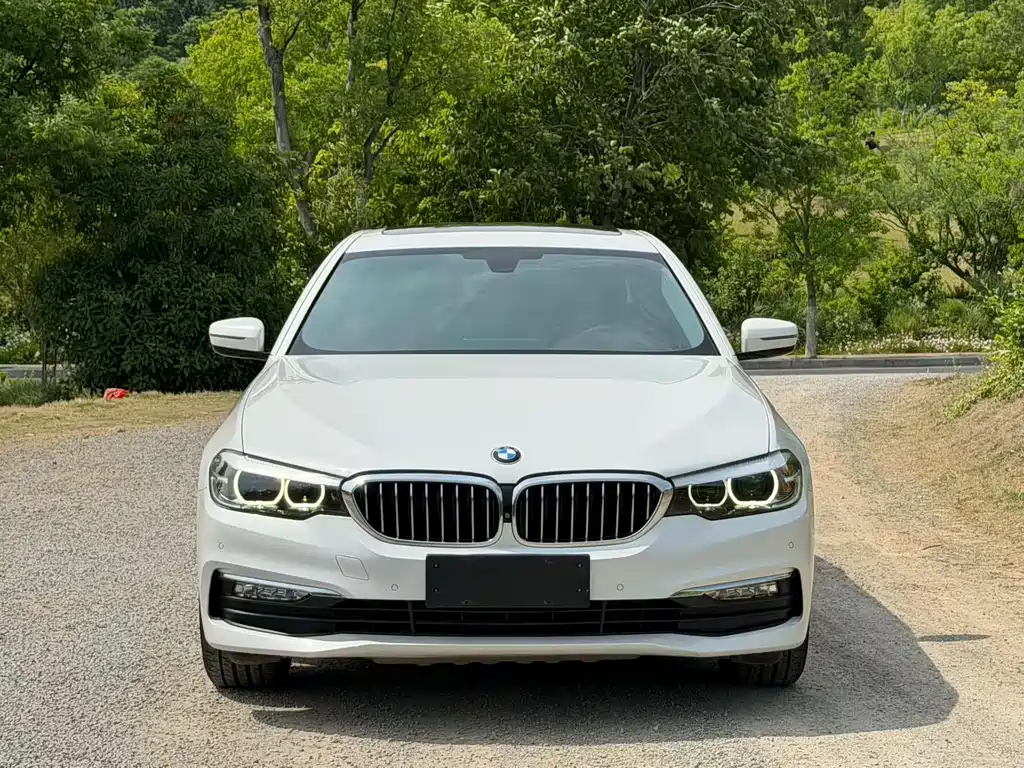 BMW 5 Series 2017 — фото 2