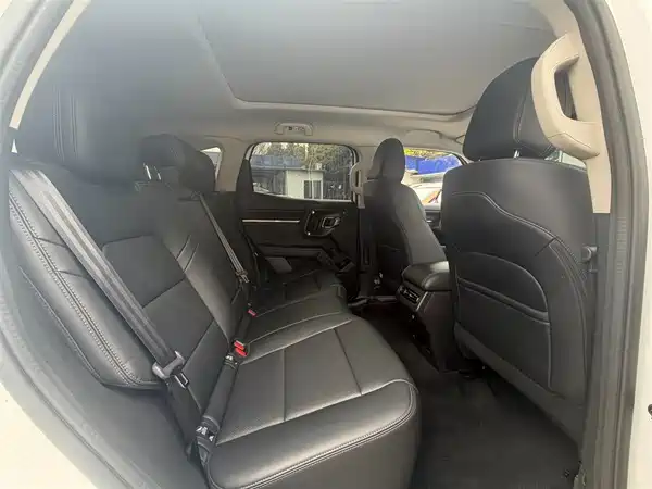 Haval Dog PLUS 2023