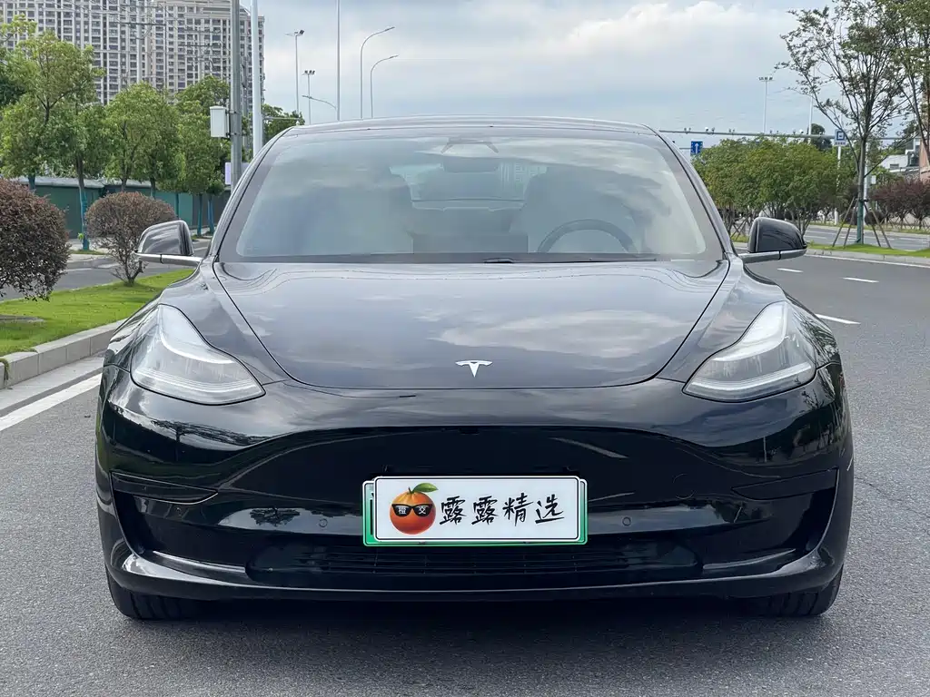 Tesla Model 3 2020 — фото 2