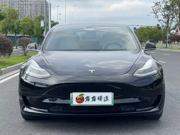 Tesla Model 3 2020