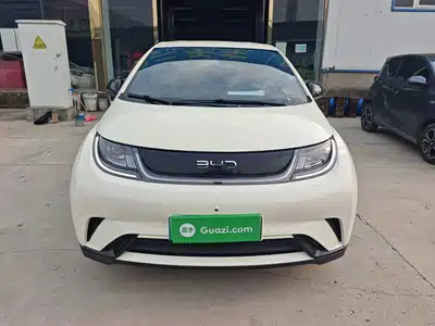BYD Dolphin 2025