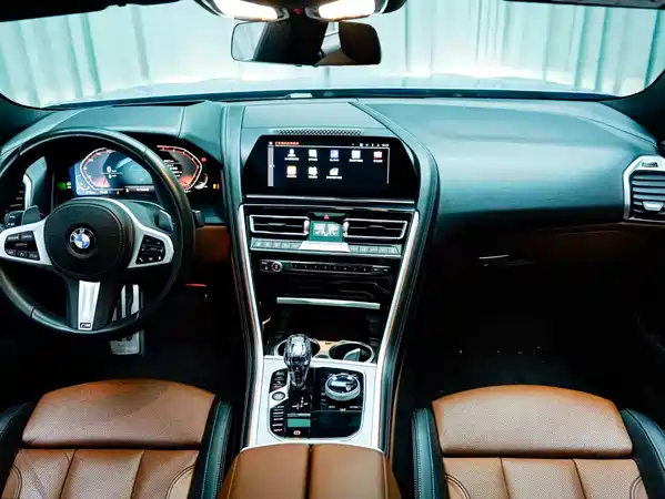 BMW 8 Series 2020