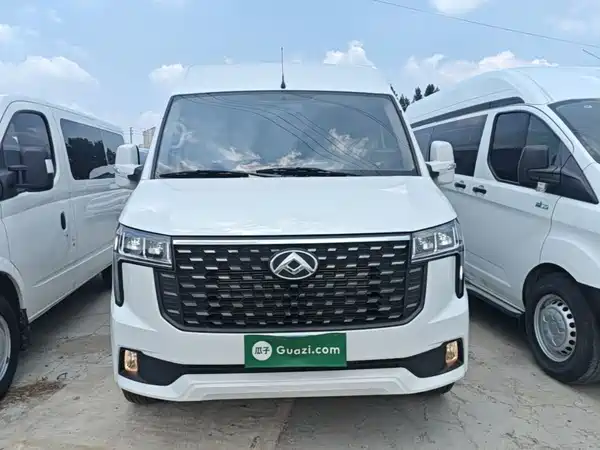 Maxus V80 2025