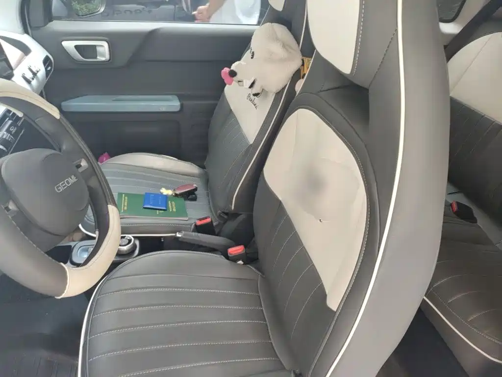 Geely Galaxy Panda 2024 — фото 11