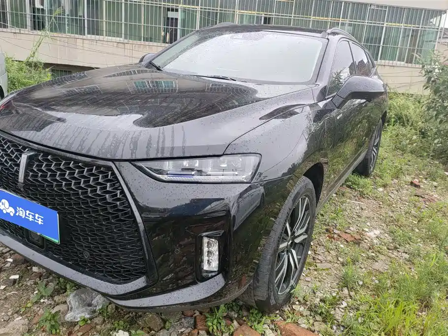 Wey P8 2019