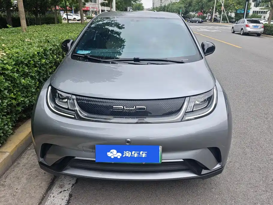 BYD Dolphin 2024