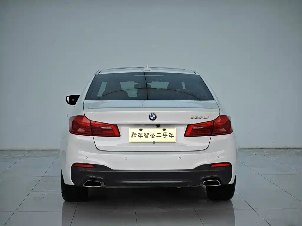 BMW 5 Series 2019 — фото 5