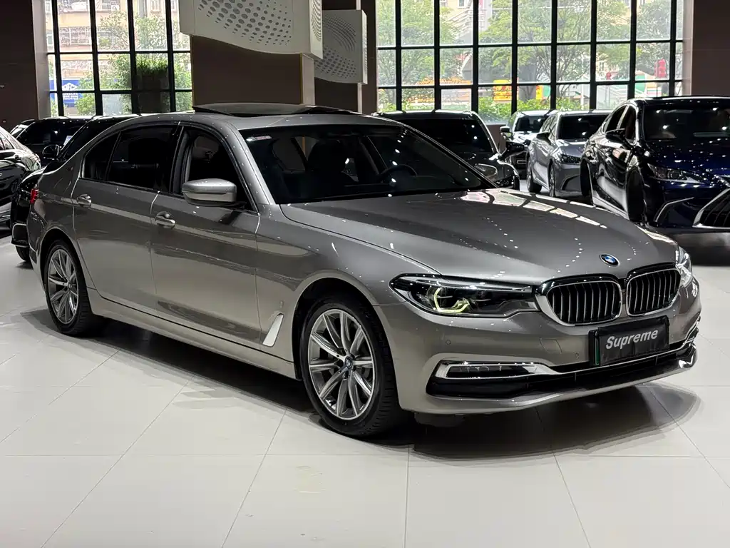 BMW 5 Series New Energy 2018