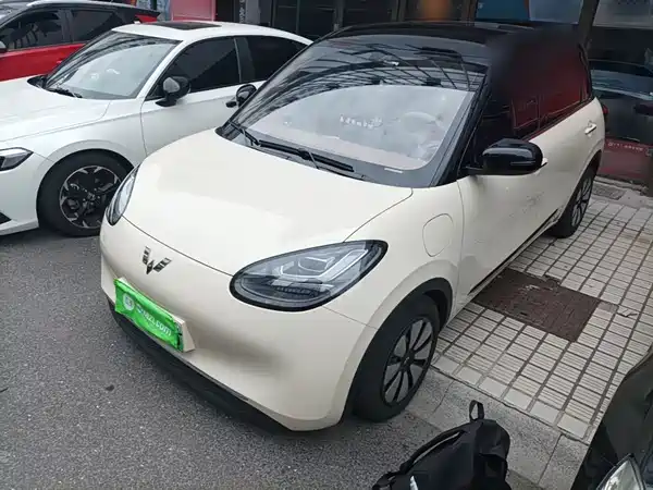 Wuling Bingo 2025