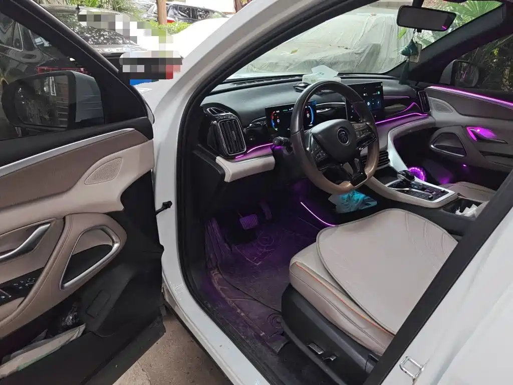 BYD Song Pro New Energy 2024 — фото 12