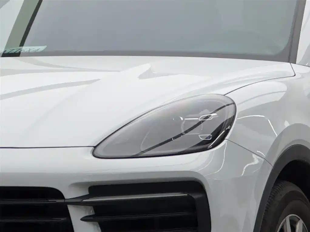 Porsche Cayenne New Energy 2019 — фото 3