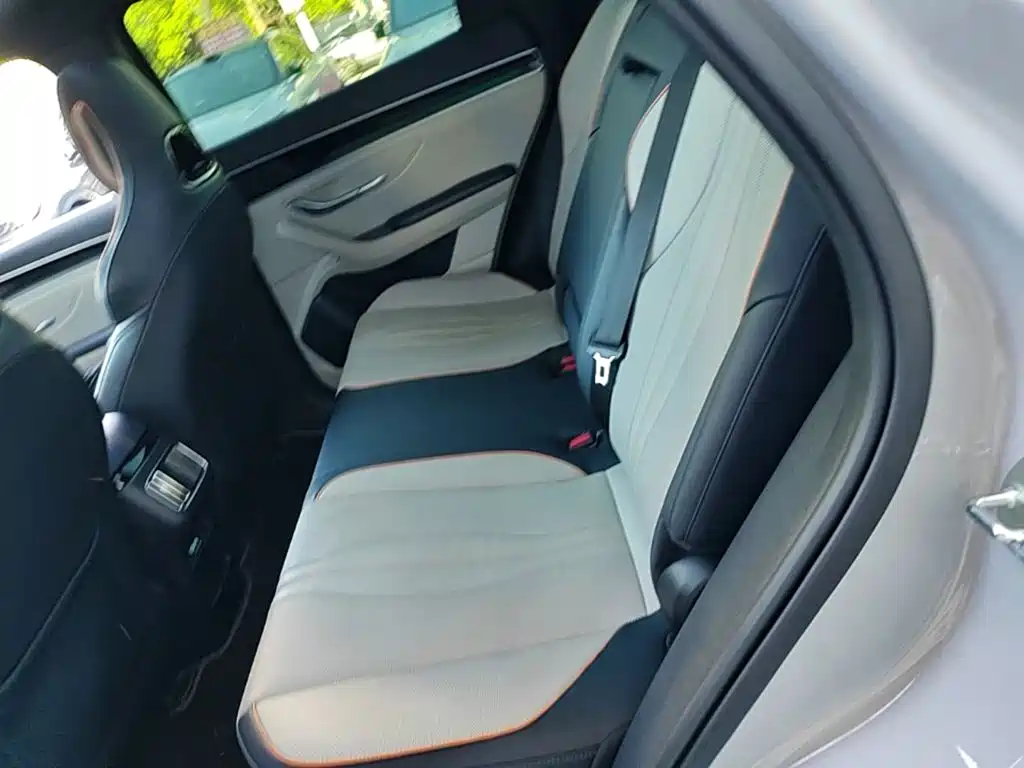 BYD Song PLUS New Energy 2023 — фото 17