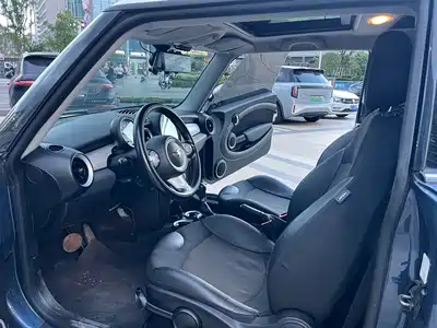 MINI MINI 2010