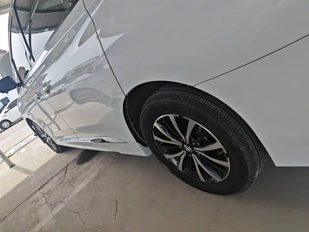 GAC Motor Trumpchi M8 2023 — фото 22