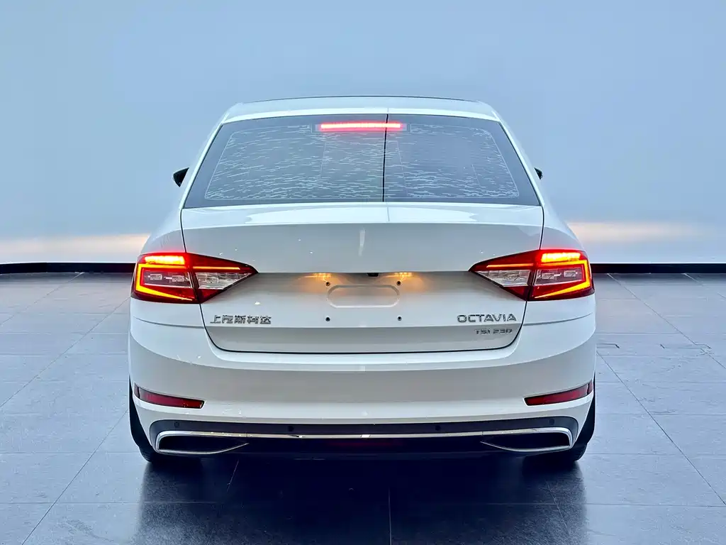 Skoda Octavia 2019 — фото 17
