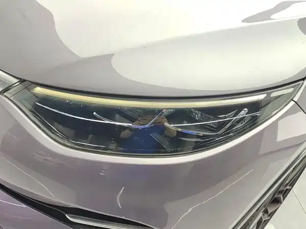 Denza X 2020