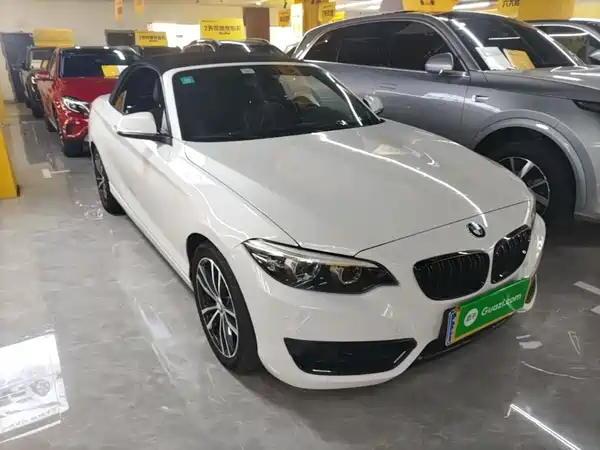 BMW 2 Series 2019