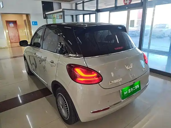 Wuling Bingo 2024