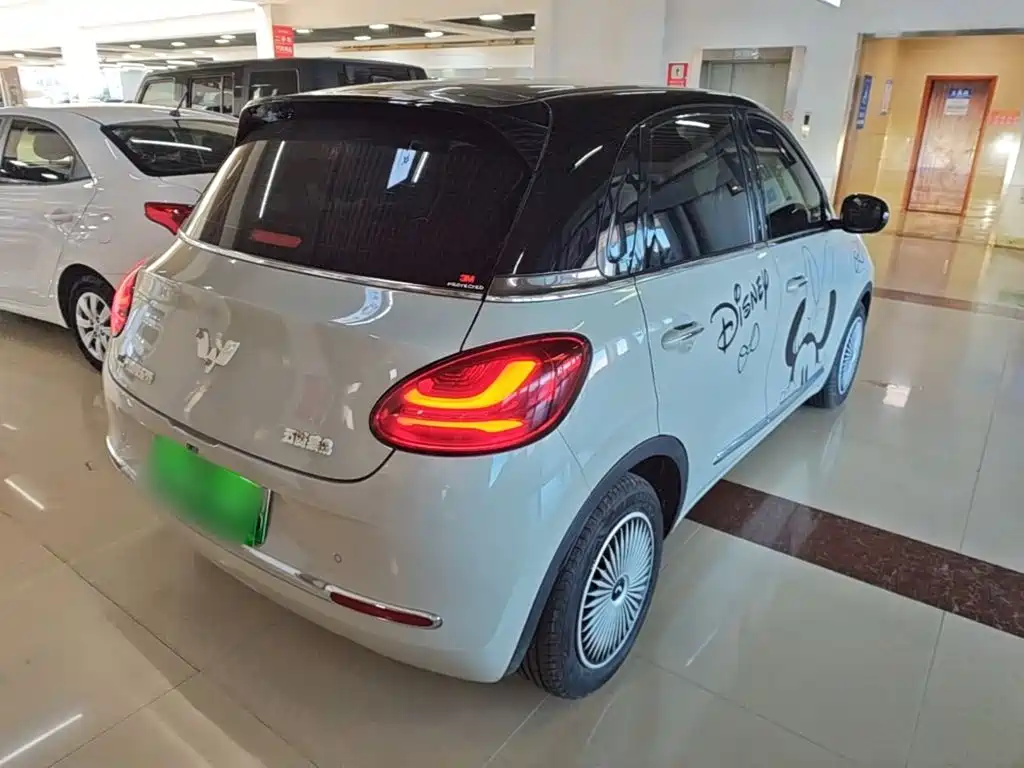 Wuling Bingo 2024
