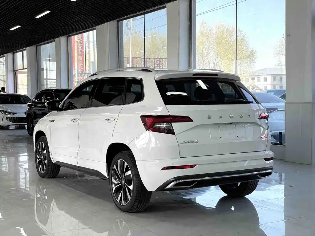 Skoda Karoq 2022 — фото 4