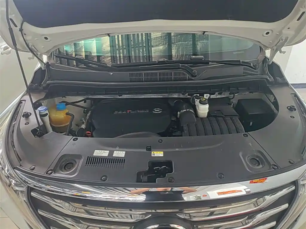 GAC Motor Trumpchi M8 2020 — фото 20