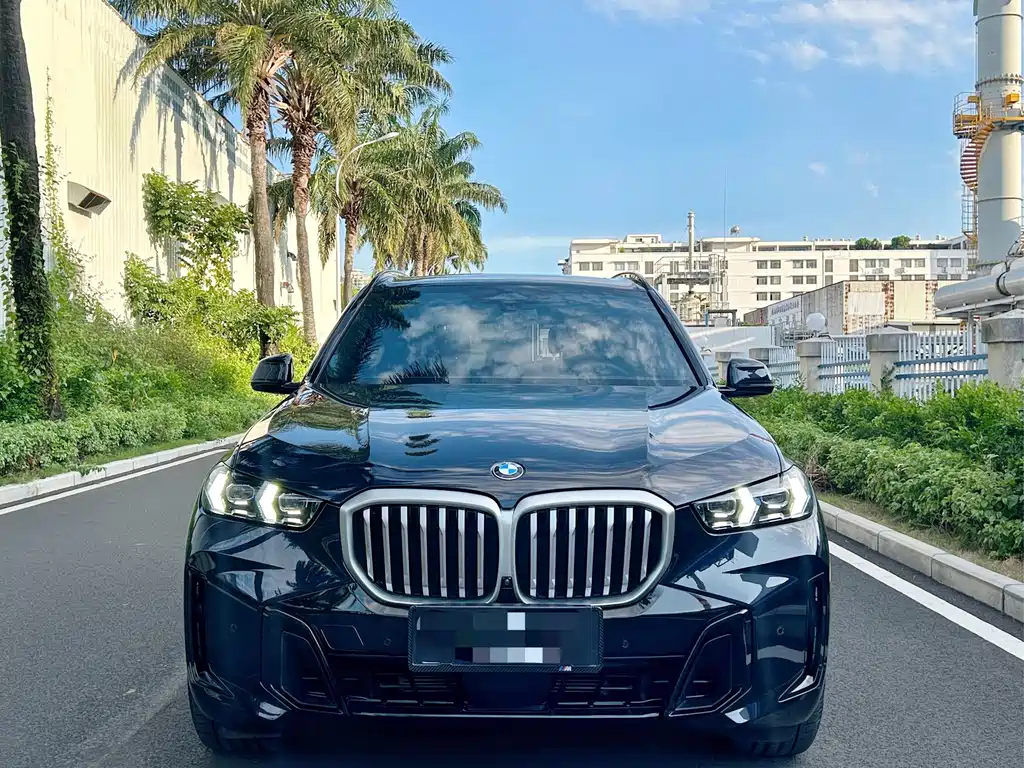 BMW X5 2025