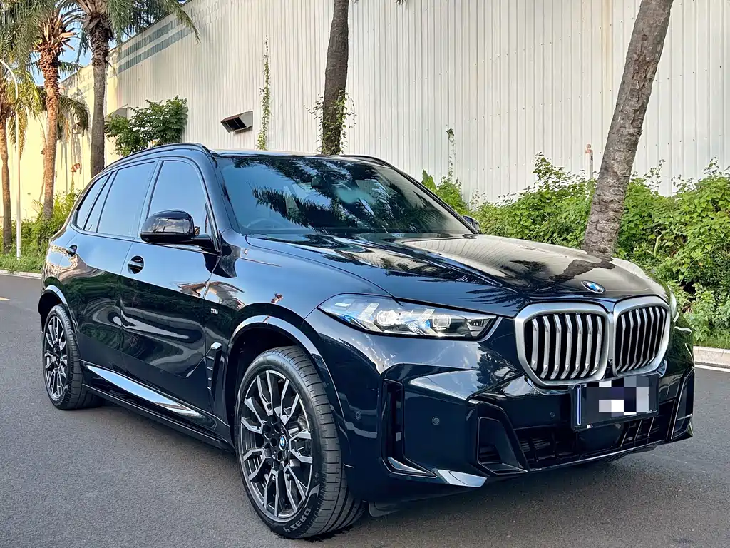 BMW X5 2025