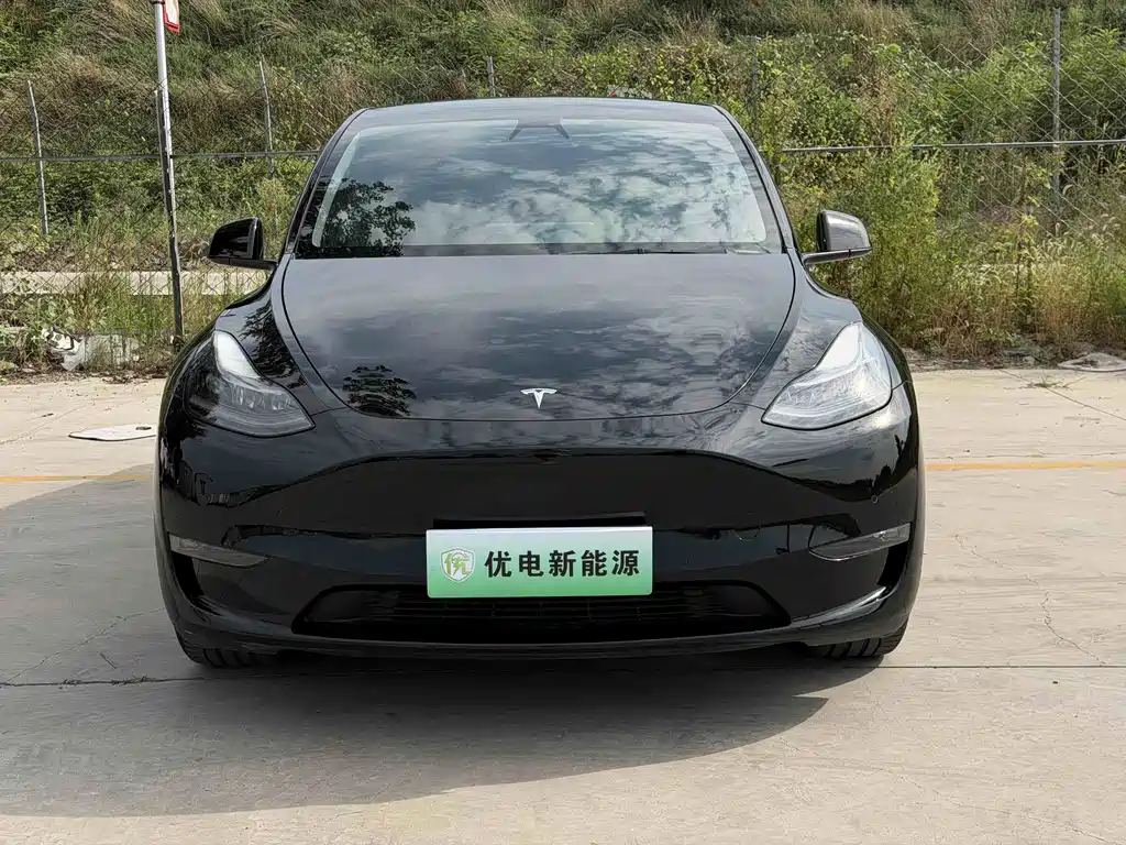 Tesla Model Y 2021 — фото 2