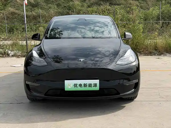 Tesla Model Y 2021