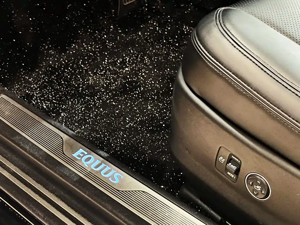 Hyundai Equus 2013 — фото 10